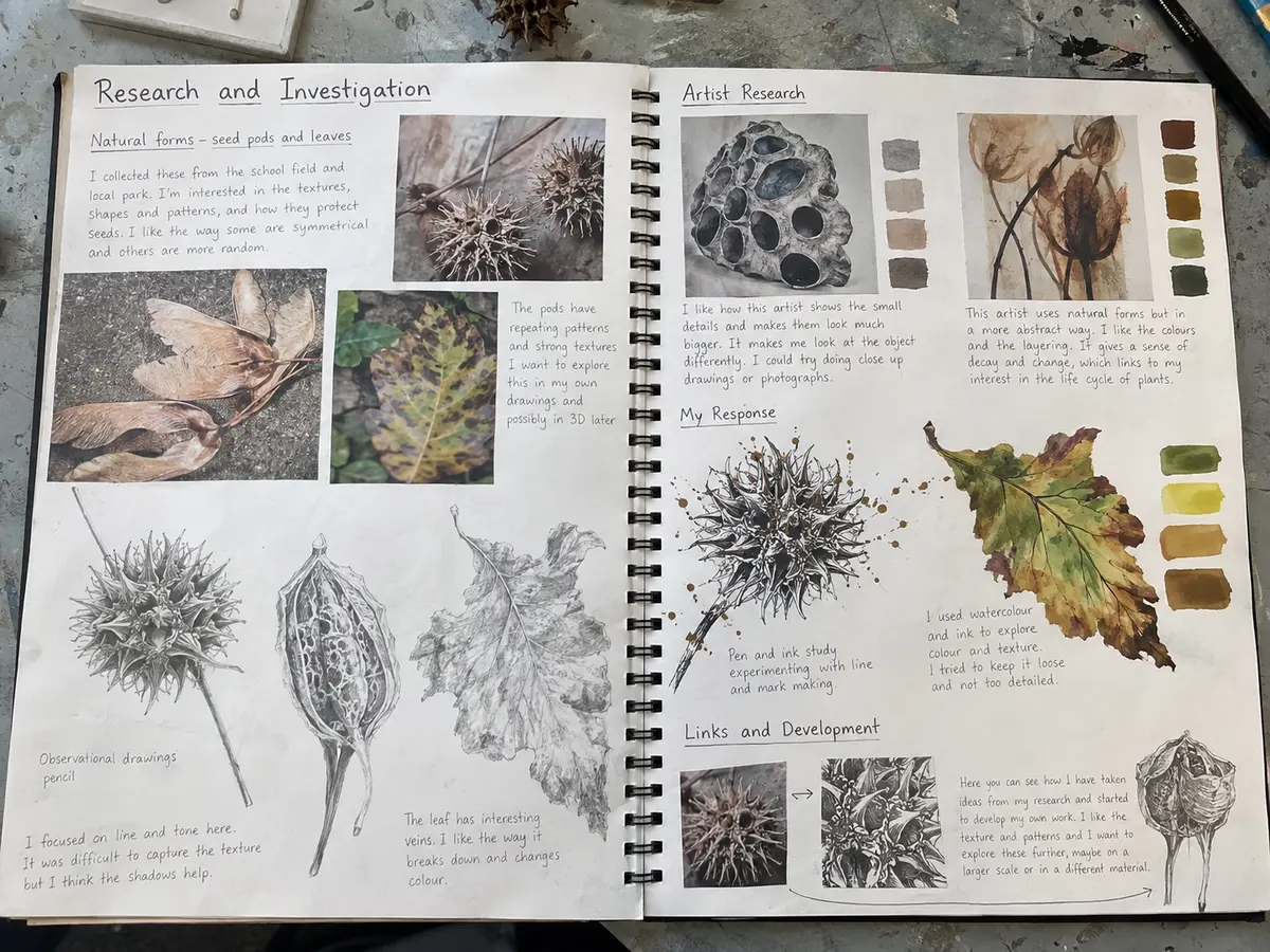 BTEC Component 1 research and investigation sketchbook example using natural forms